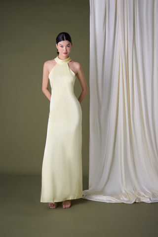 Imagine Maxi Dress
