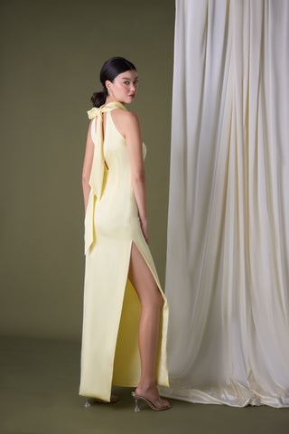 Imagine Maxi Dress