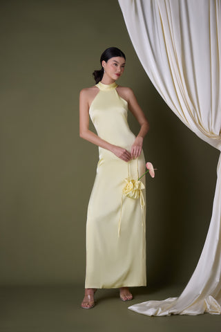 Imagine Maxi Dress