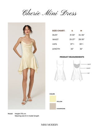 Cherie Mini Dress