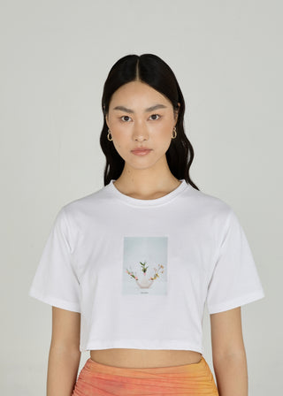 Yuki Crop Top