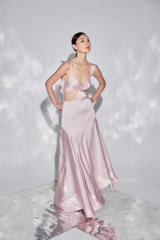 Pleasure Dress