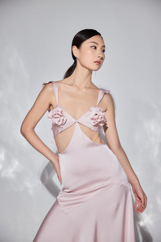 Pleasure Dress
